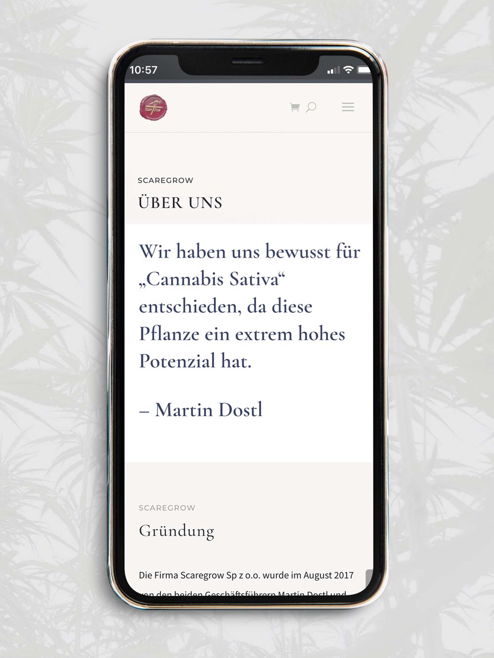 SP-STUDIO-PROJEKT_Scaregrow-Website-mobilansicht