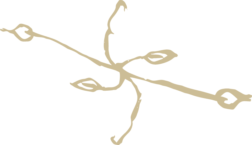 JohAnn_Essigliebelei_Etiketten_Website