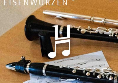 Musikschule Eisenwurzen Logovarianten