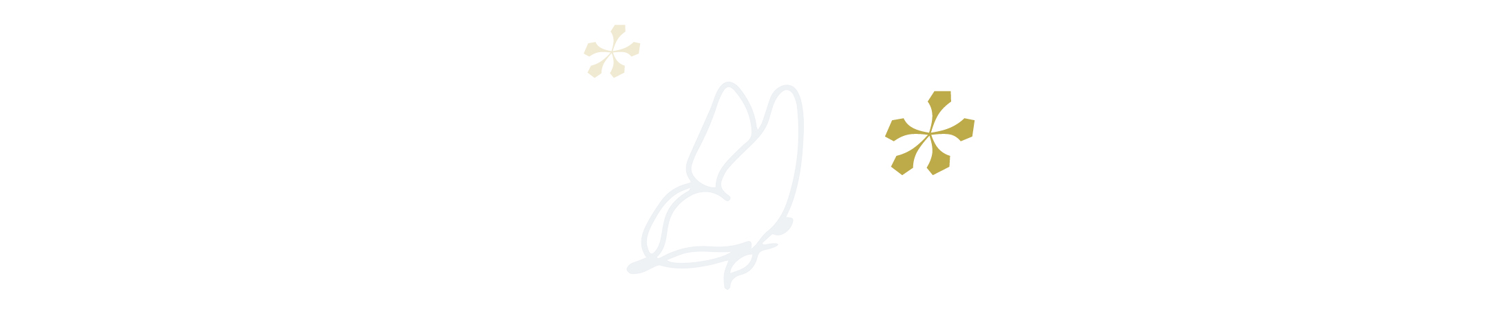 illustrationen-resp
