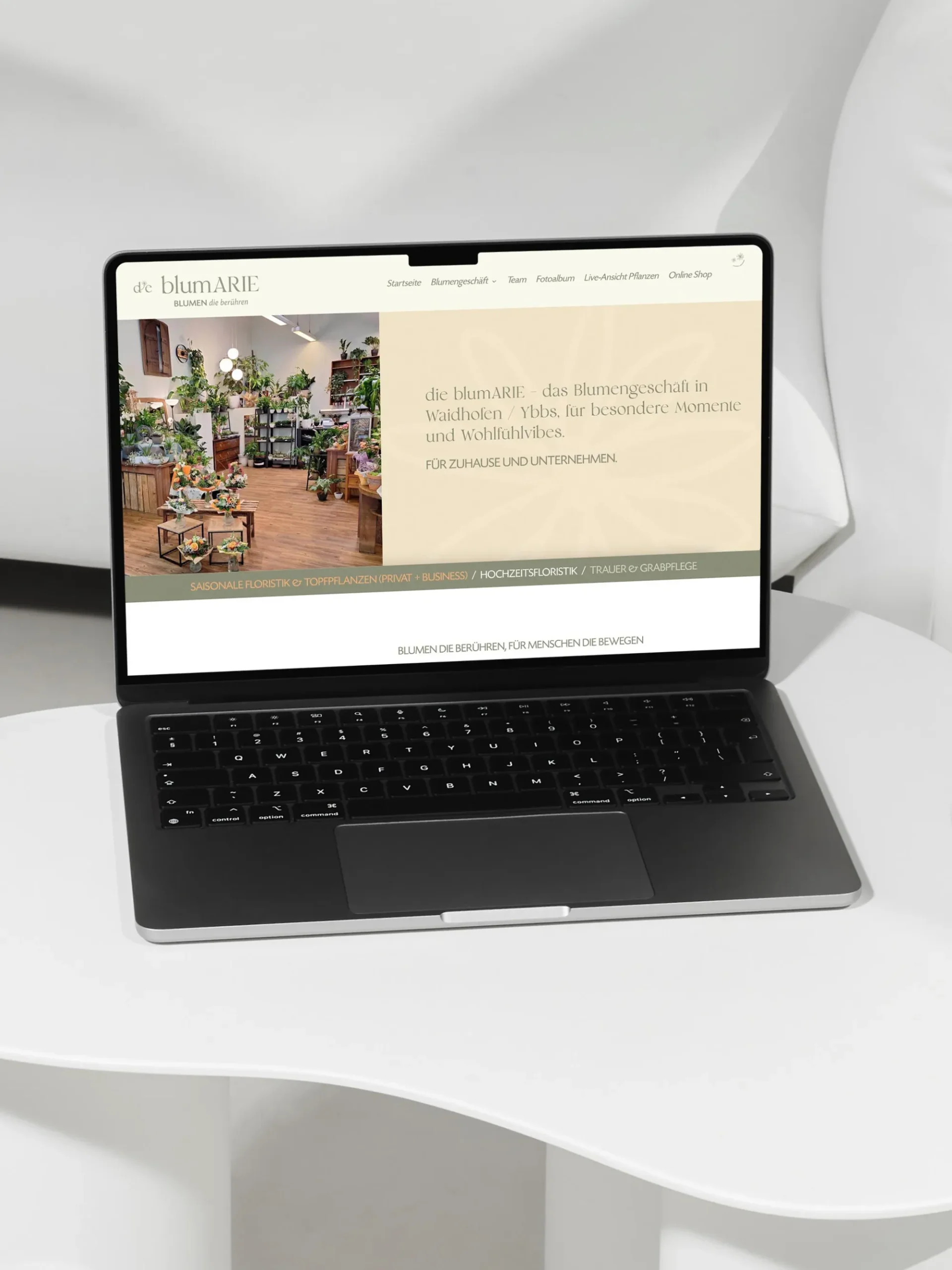 Webdesign Musikschule Eisenwurzen